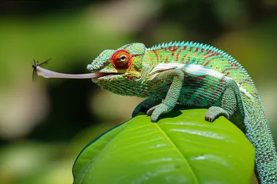 Illustration behavior - Image 1