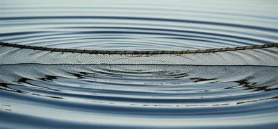 Illustration shallow - Image 1