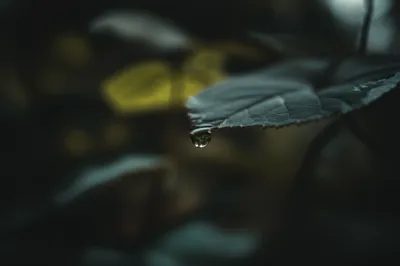 Illustration smallest - Image 1