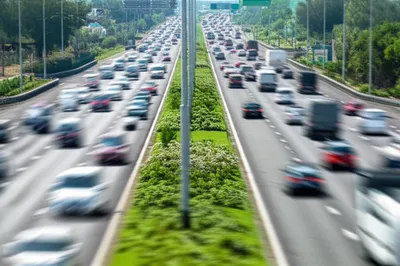 Illustration dividers - Image 1