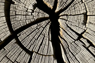 Illustration splits - Image 1