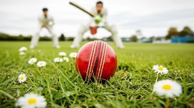 Illustration sneak - Image 1