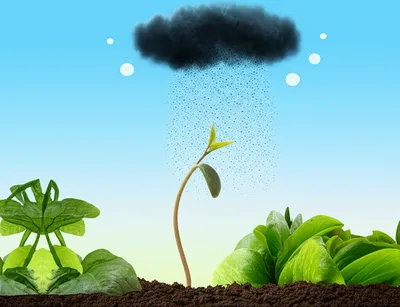 Illustration predispose