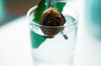 Illustration stench - Image 1