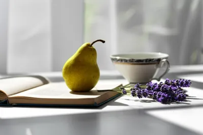 Illustration styled - Image 1