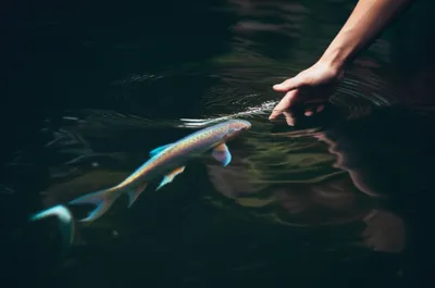 Illustration slippery - Image 1