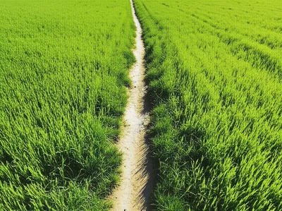 Illustration beaten - Image 1