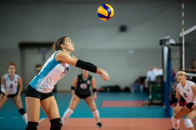 Illustration setter - Image 1