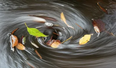 Illustration swirls - Image 1