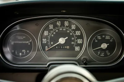 Illustration tattler - Image 1