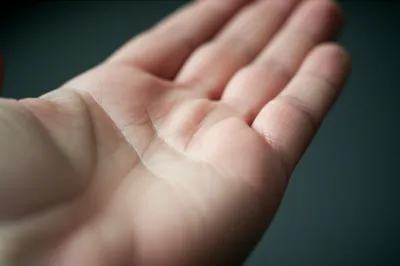 Illustration heel - Image 1