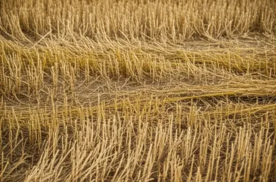 Illustration winders - Image 1