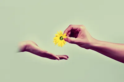 Illustration surprise - Image 1