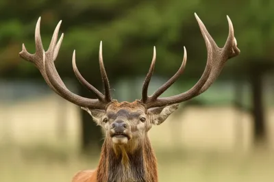 Illustration beam - Image 1