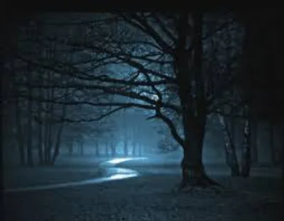 Illustration moonlit - Image 2