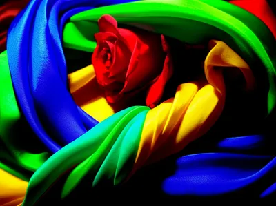 Illustration perverted - Image 1