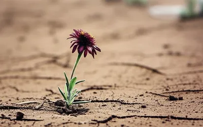 Illustration infertility - Image 1