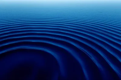 Illustration bass - Image 1