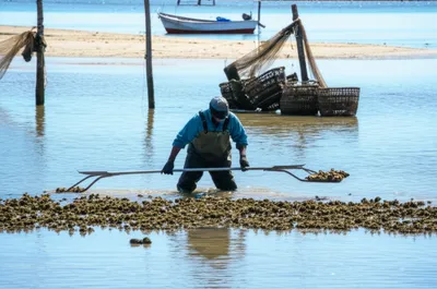Illustration longshoremen - Image 1