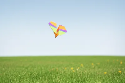 Illustration downed - Image 1