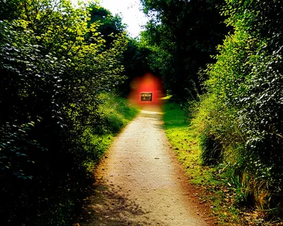 Illustration mislead