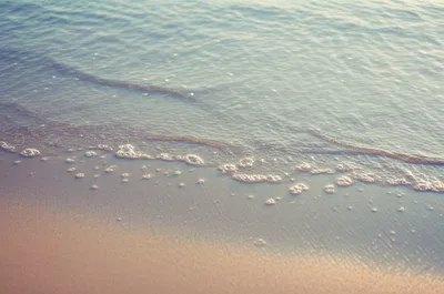 Illustration pearl - Image 1