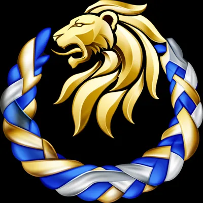 Illustration torse - Image 1