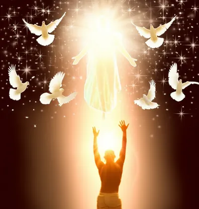 Illustration canonized - Image 1