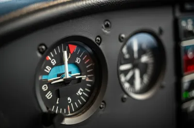 Illustration bug - Image 1