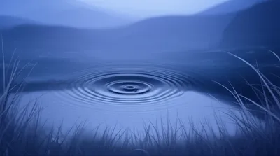 Illustration hums - Image 1