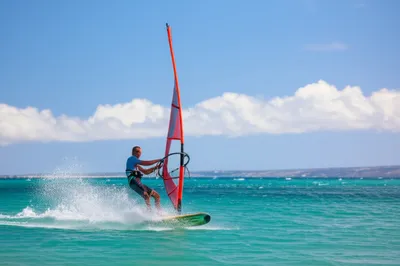 Illustration windsurfers