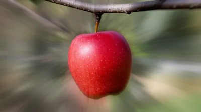 Illustration detaches - Image 1