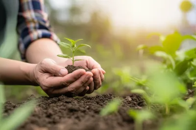 Illustration devotion