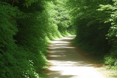 Illustration rambled - Image 1