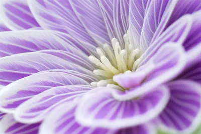 Illustration feminine - Image 1