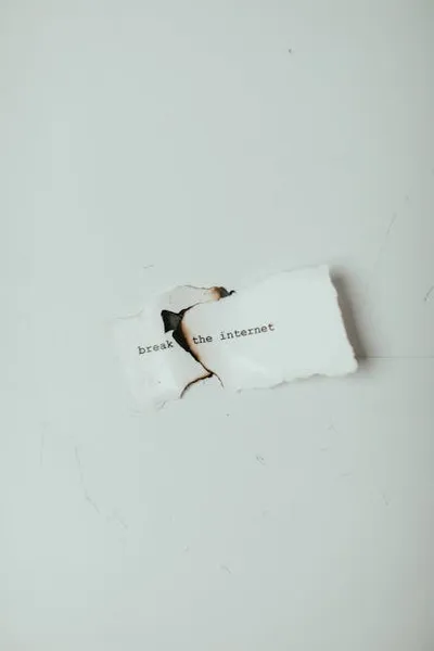 Illustration slips - Image 2