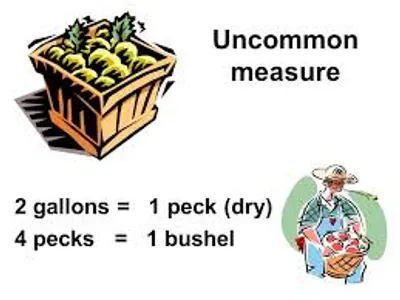 Illustration peck - Image 2