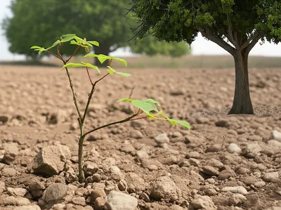 Illustration underdeveloped - Image 1