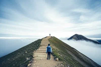 Illustration ambitions - Image 1