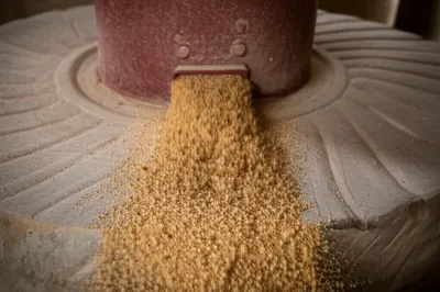 Illustration run - Image 1