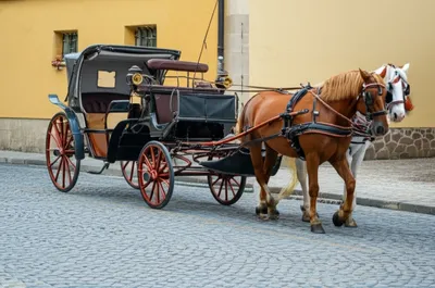 Illustration calash - Image 1