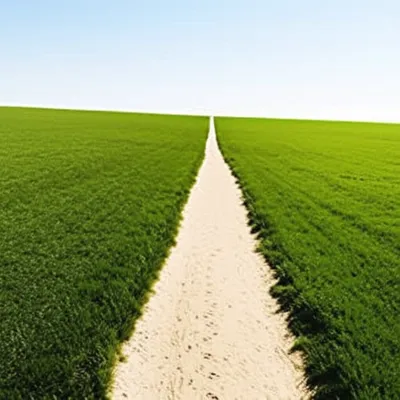 Illustration widens - Image 1