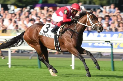 Illustration pots - Image 1