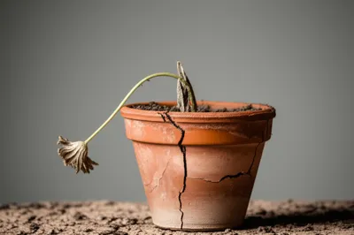 Illustration discouraging - Image 1