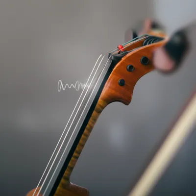 Illustration vibrate - Image 1