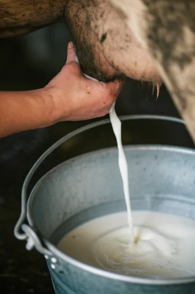 Illustration expressed - Image 1