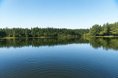 Illustration composed - Image 1