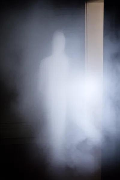 Hình ảnh minh họa apparitions - Ảnh 2