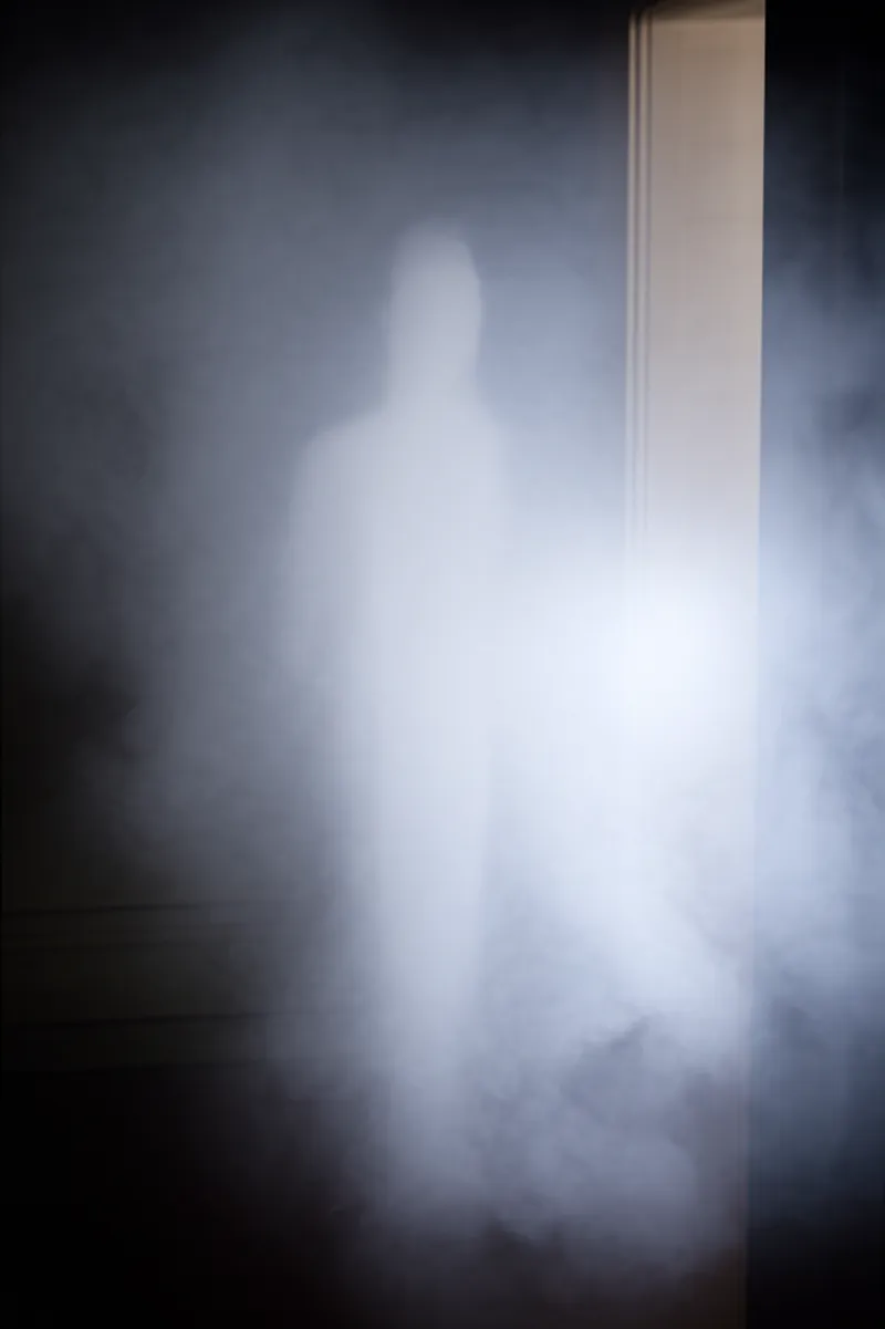 Illustration visuelle de apparitions: Apparitions, manifestations - Image 2