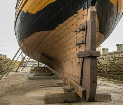 Hình ảnh minh họa sp - Ảnh 1